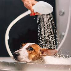Keep Your Pet Clean And Fresh With This Multifunctional Shower Head!