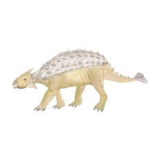 Wallsticker Ankylosaurus - Brown