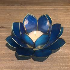 African Image - Lotus lysestage - Sea blue