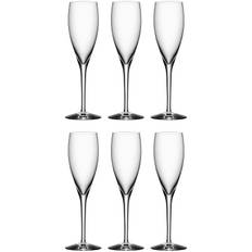 Orrefors More Champagneglas 18 Cl 6-pak - Champagneglas Krystalglas Klar - 6310104
