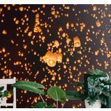 Flyvende lanterner • Se (21 produkter) PriceRunner »