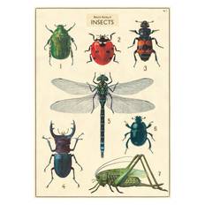Cavallini - Plakat - History insects close up