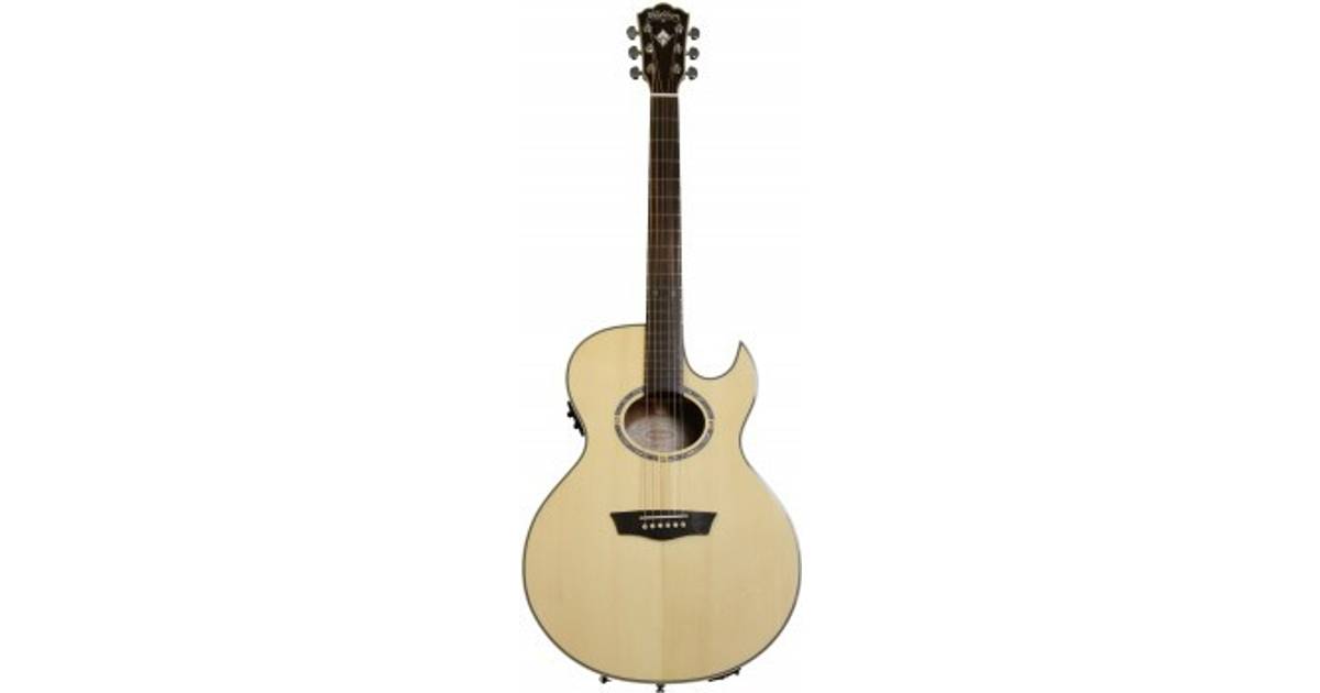 washburn ea20snb