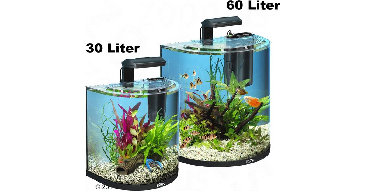 Tetra AquaArt Explorer Line Halfmoon Aquarium Kompletsæt 30 L • Pris »