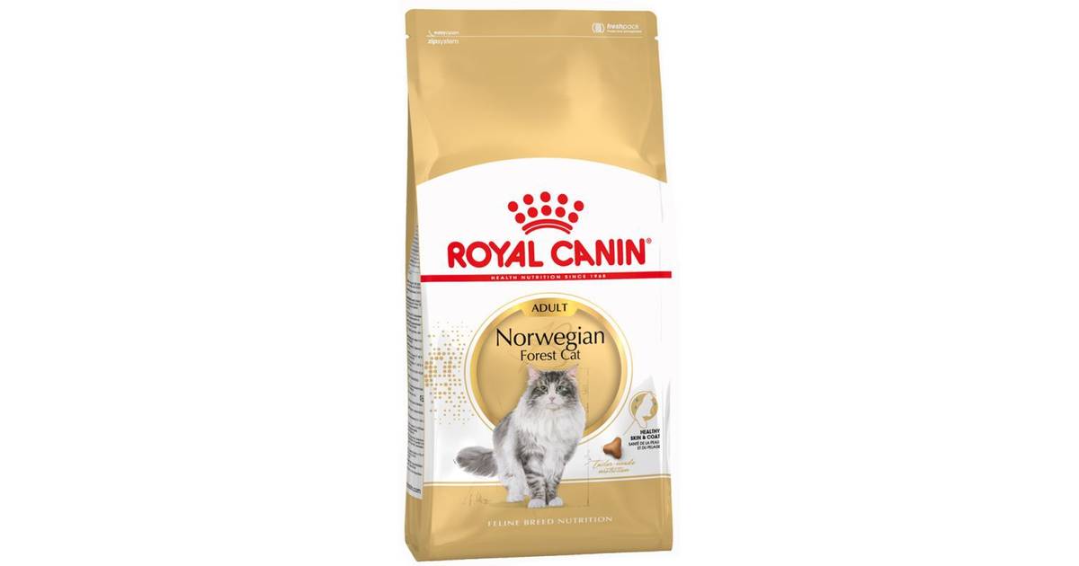 Royal Canin Skovkat 10kg • Se pris (8 butikker) hos PriceRunner »