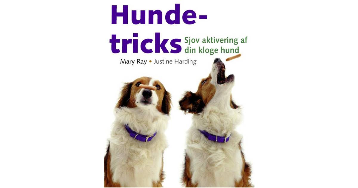 Hundetricks: Sjov aktivering af din kloge hund, E-bog • Se priser nu »