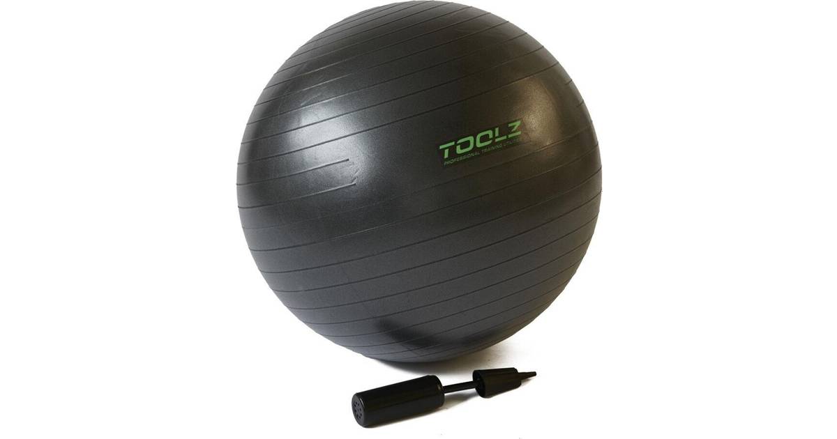 Toolz Exercise Ball 65cm (4 butikker) • PriceRunner »