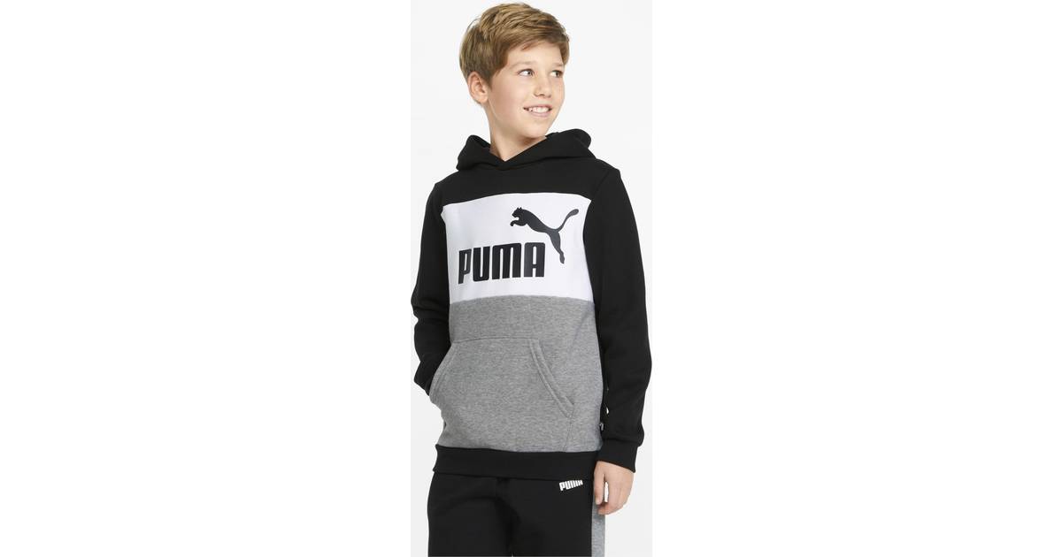 Puma Essential Hoodie Luksusbaby.dk • PriceRunner »
