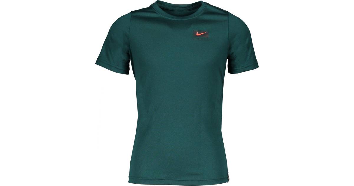 Liverpool Trænings T-Shirt Dri-FIT Logo Børn Nike XL: 158-170 • Pris »