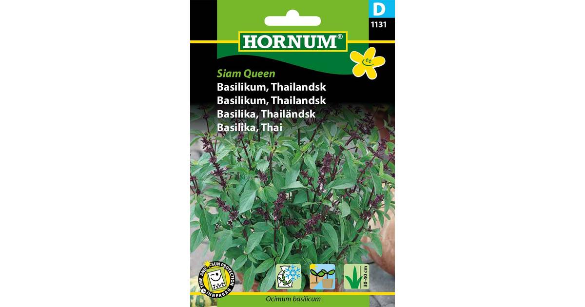 Hornum Basilikum Frø, Siam Queen Thai • PriceRunner »