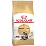 Royal Canin Maine Coon Adult Kattemad 10kg • Priser »