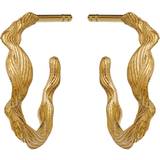 Maanesten Ara Earrings - Gold • Find den bedste pris »