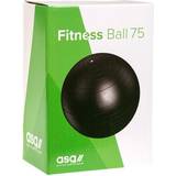 ASG Træningsbold 75 cm (6 butikker) • Se PriceRunner »