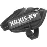 Julius-K9 Kæledyr (500+ produkter) sammenlign priser »