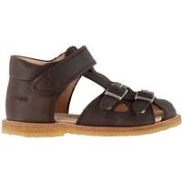 Angulus Starter Sandal with Velcro and Buckles - Dark Brown • Se priser nu »