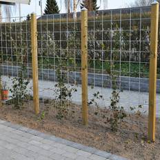 Hortus Espalier Incl Fitting 90x180cm