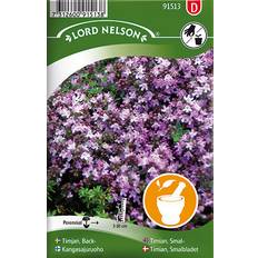 Nelson Garden Timian Smalbladet 500 pack