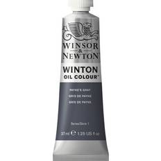 Winsor & Newton Winton Oil Color Paynes Gray 37ml