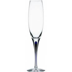 Orrefors Mundblæste Glas Orrefors Intermezzo Champagneglas 26cl
