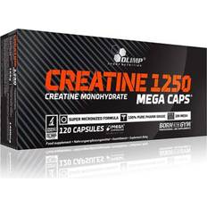 Kapsler/Tabletter - Kreatin monohydrat Olimp Sports Nutrition Creatine 1250 Mega Caps 120 stk