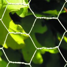 NSH Nordic Hønsenet NSH Nordic Hexagonal Wire Netting Fence 106-229 30cmx10m
