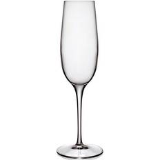 Luigi Bormioli Uden håndtag Champagneglas Luigi Bormioli Palace Champagneglas 23.5cl 6stk