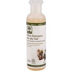 Bioselect Fedtet hår Hårprodukter Bioselect Olive Shampoo for Oily Hair 200ml