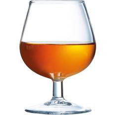 Arcoroc Uden håndtag Glas Arcoroc Cognac Rødvinsglas 15cl 12stk