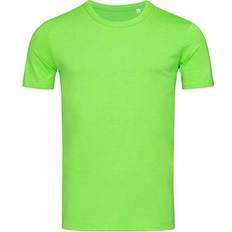 Stedman Grøn Overdele Stedman Morgan Crew Neck T-shirt - Green Flash