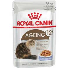 Royal Canin Katte - Natrium - Vådfoder Kæledyr Royal Canin Aging 12+ in Jelly