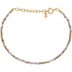 Turmalin Armbånd Pernille Corydon Light Rainbow Bracelet - Gold/Tourmaline