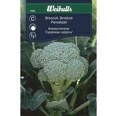 Grøntsagsfrø Weibulls Broccoli