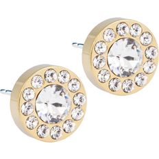 Blomdahl Brilliance Halo Earrings - Gold/Transparent