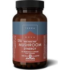 Terra Nova Mushroom Synergy 50pcs 50 stk