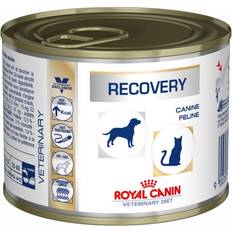 Royal Canin C-vitaminer - Hunde - Vådfoder Kæledyr Royal Canin Recovery 0.2kg