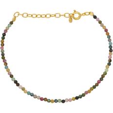 Pernille Corydon Rainbow Bracelet - Gold/Tourmaline