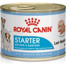 Royal Canin C-vitaminer - Hunde - Vådfoder Kæledyr Royal Canin Starter Mousse 0.2kg