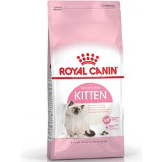 Royal Canin Jern - Katte Kæledyr Royal Canin Kitten 10kg