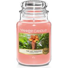 Yankee Candle The Last Paradise Duftlys 623g