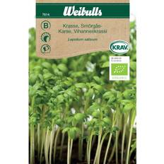 Krydderurtefrø Weibulls Organic Cress Sandwich