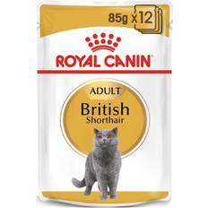 Royal Canin Katte - Vådfoder Kæledyr Royal Canin British Shorthair