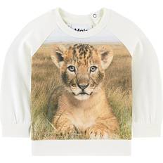 Molo 12-18M Sweatshirts Molo Esco - Young Lion (3S21A403 7394)