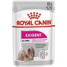 Royal Canin Exigent Care