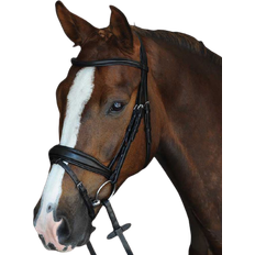 Collegiate Mono Crown Padded Raised Flash Bridle