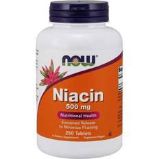 Now Foods B-vitaminer Vitaminer & Mineraler Now Foods Niacin 500mg 250 stk