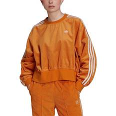 32 - Dame - Orange Sweatere adidas Adicolor Classics Corded Velour Oversize Sweatshirt - Focus Orange