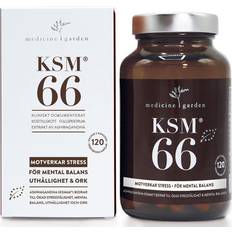 Medicine Garden KSM66 120 stk