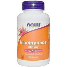 Now Foods B-vitaminer Vitaminer & Mineraler Now Foods Niacinamide 500mg 100 stk