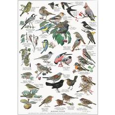 Vægdekorationer Koustrup & Co. Garden Birds Plakat 42x59.4cm