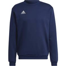 Herre - L - Turkis Sweatere adidas Entrada sweatshirt Team